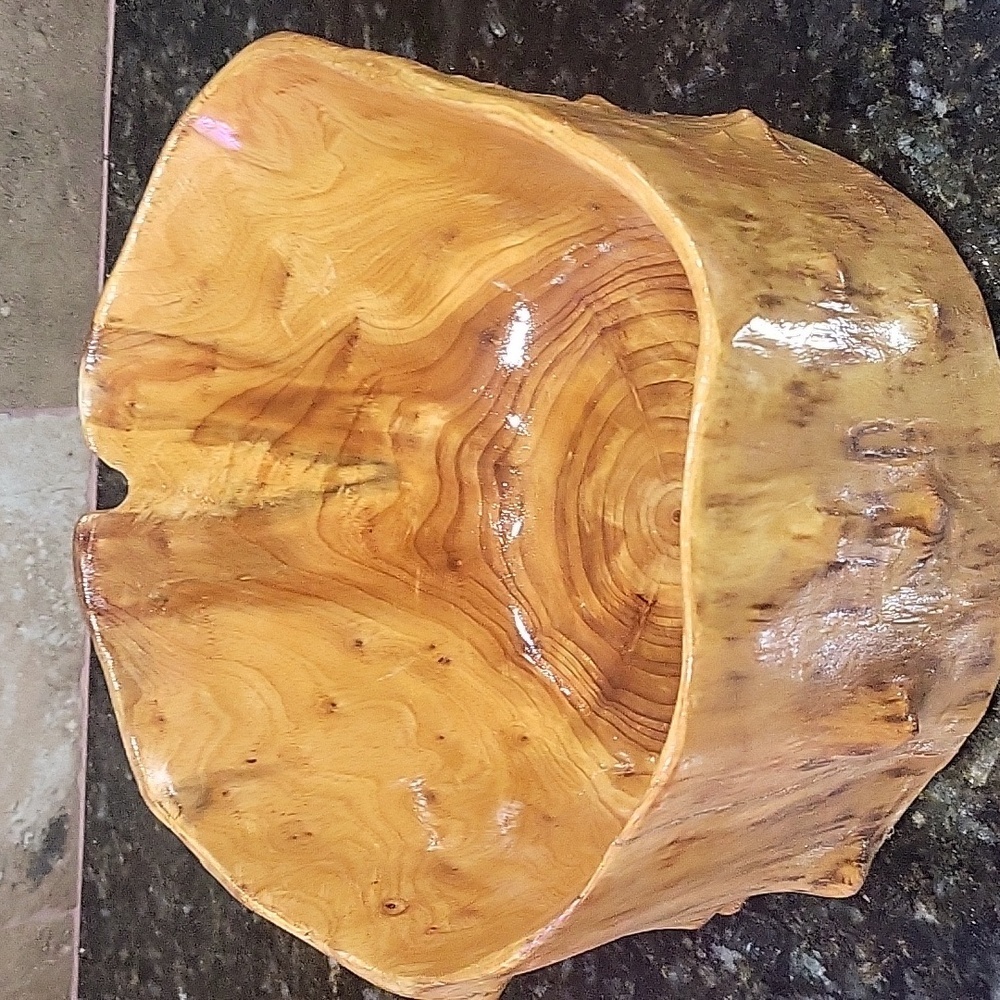 Large Hollow Carved Wood Stump Catchall Bowl Bin 8.5" Wide 5.5" Tall Burl Wood